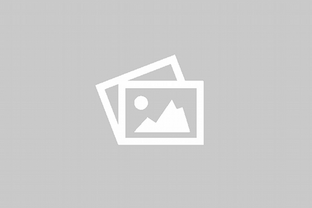 Online WordPress Plugin Development – Batch 03 (WDA_WP_03)
